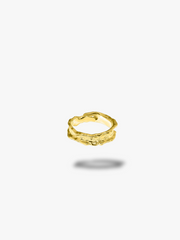 Nelly Ring